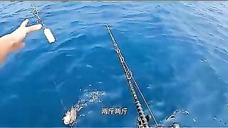 Пекинский блогер идёт на глубоководную рыбалку и сразу ловит дорогого групера