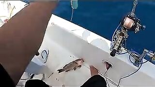 Пекинский блогер идёт на глубоководную рыбалку и сразу ловит дорогого групера