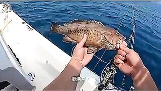 Пекинский блогер идёт на глубоководную рыбалку и сразу ловит дорогого групера