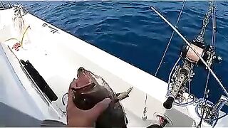 Пекинский блогер идёт на глубоководную рыбалку и сразу ловит дорогого групера