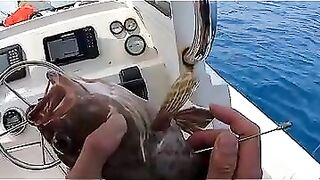 Пекинский блогер идёт на глубоководную рыбалку и сразу ловит дорогого групера