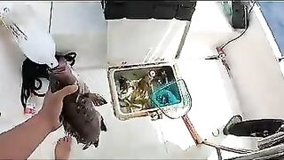 Пекинский блогер идёт на глубоководную рыбалку и сразу ловит дорогого групера