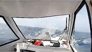 Пекинский блогер идёт на глубоководную рыбалку и сразу ловит дорогого групера