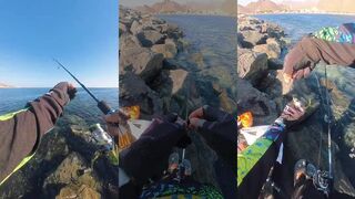 Fujairah fishing trip морская рыбалка в Фуджейре выход в Аравийское море за трофеями