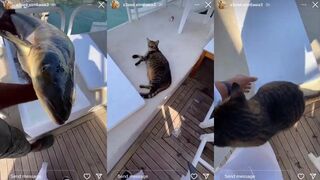 Фуджейра и местные рыбы кадры с морской рыбалки в ОАЭ у скалистого побережья