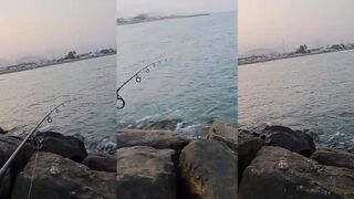 Морская рыбалка в Фуджейре утренний выход в море за местным хищником