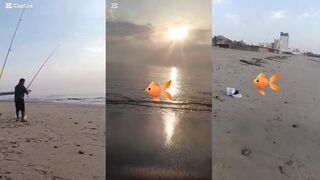 Морская рыбалка в Дибба Фуджейра выход в море за местной рыбой вдоль горных берегов