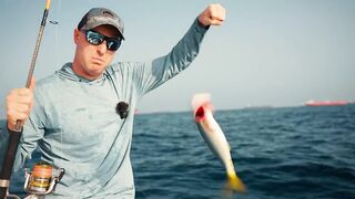 Морская рыбалка в Фуджейре на поппер днём а вечером эту рыбу готовят в ресторане