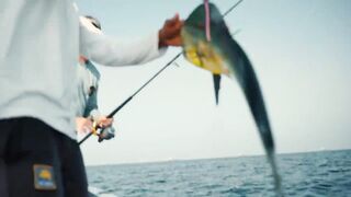 Морская рыбалка в Фуджейре на поппер днём а вечером эту рыбу готовят в ресторане
