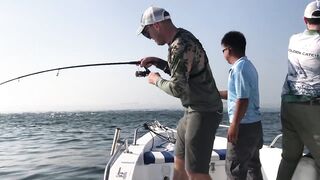 Рыбалка на тунца в Эмиратах морская рыбалка в Фуджейре по крупной синей торпеде