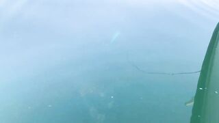 Рыбалка на тунца в Эмиратах морская рыбалка в Фуджейре по крупной синей торпеде