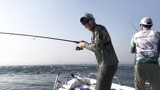 Рыбалка на тунца в Эмиратах морская рыбалка в Фуджейре по крупной синей торпеде