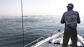 Рыбалка на тунца в Эмиратах морская рыбалка в Фуджейре по крупной синей торпеде