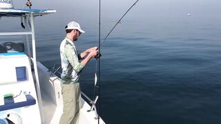 Рыбалка на тунца в Эмиратах морская рыбалка в Фуджейре по крупной синей торпеде