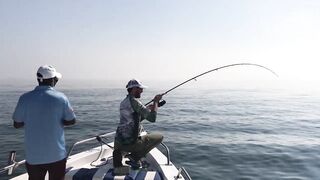 Рыбалка на тунца в Эмиратах морская рыбалка в Фуджейре по крупной синей торпеде