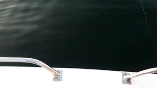 Рыбалка на тунца в Эмиратах морская рыбалка в Фуджейре по крупной синей торпеде