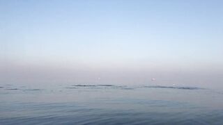 Рыбалка на тунца в Эмиратах морская рыбалка в Фуджейре по крупной синей торпеде