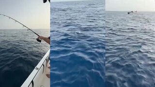 Дорадо на пилькер в Эмиратах: морская рыбалка в Фуджейре и трофейный улов