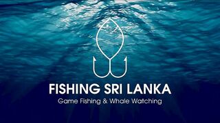 Не поверите что поймали морская рыбалка в Хиккадуве Шри-Ланка день на Индийском океане