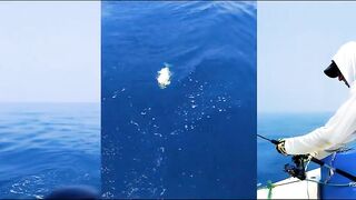 Не поверите что поймали морская рыбалка в Хиккадуве Шри-Ланка день на Индийском океане