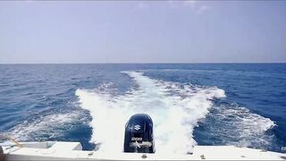 Не поверите что поймали морская рыбалка в Хиккадуве Шри-Ланка день на Индийском океане