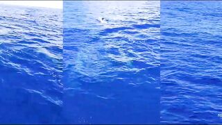 Не поверите что поймали морская рыбалка в Хиккадуве Шри-Ланка день на Индийском океане