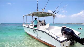 Не поверите что поймали морская рыбалка в Хиккадуве Шри-Ланка день на Индийском океане