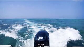 Не поверите что поймали морская рыбалка в Хиккадуве Шри-Ланка день на Индийском океане