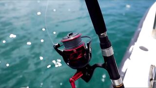 Не поверите что поймали морская рыбалка в Хиккадуве Шри-Ланка день на Индийском океане