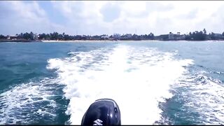 Не поверите что поймали морская рыбалка в Хиккадуве Шри-Ланка день на Индийском океане