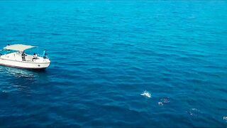 Не поверите что поймали морская рыбалка в Хиккадуве Шри-Ланка день на Индийском океане