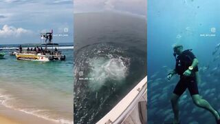 Hikkaduwa Sri Lanka погружения у рифа и рыбы которые видишь а не ловишь на рыбалке