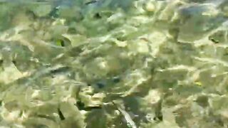 Пляж Хиккадува и подводная жизнь Шри-Ланки где плавать с маской и смотреть на тропических рыб