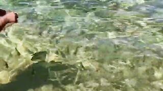 Пляж Хиккадува и подводная жизнь Шри-Ланки где плавать с маской и смотреть на тропических рыб