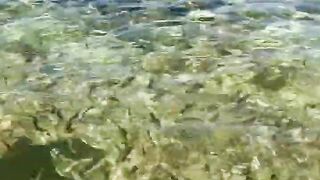 Пляж Хиккадува и подводная жизнь Шри-Ланки где плавать с маской и смотреть на тропических рыб