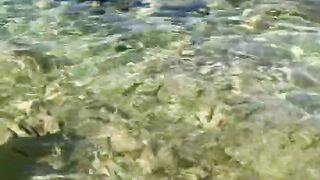 Пляж Хиккадува и подводная жизнь Шри-Ланки где плавать с маской и смотреть на тропических рыб