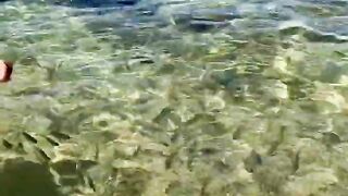 Пляж Хиккадува и подводная жизнь Шри-Ланки где плавать с маской и смотреть на тропических рыб