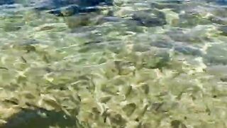 Пляж Хиккадува и подводная жизнь Шри-Ланки где плавать с маской и смотреть на тропических рыб