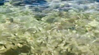 Пляж Хиккадува и подводная жизнь Шри-Ланки где плавать с маской и смотреть на тропических рыб