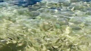 Пляж Хиккадува и подводная жизнь Шри-Ланки где плавать с маской и смотреть на тропических рыб