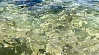 Пляж Хиккадува и подводная жизнь Шри-Ланки где плавать с маской и смотреть на тропических рыб