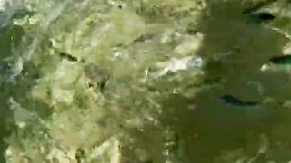 Пляж Хиккадува и подводная жизнь Шри-Ланки где плавать с маской и смотреть на тропических рыб