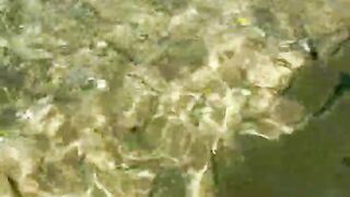 Пляж Хиккадува и подводная жизнь Шри-Ланки где плавать с маской и смотреть на тропических рыб