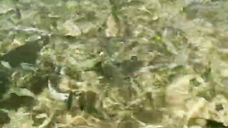 Пляж Хиккадува и подводная жизнь Шри-Ланки где плавать с маской и смотреть на тропических рыб