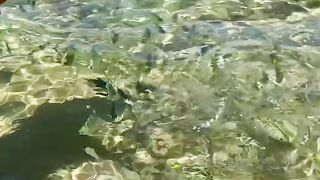 Пляж Хиккадува и подводная жизнь Шри-Ланки где плавать с маской и смотреть на тропических рыб