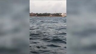 Семь тонн рыбы возвращают в море: Хиккадува Шри-Ланка и спасённый улов рыбаков