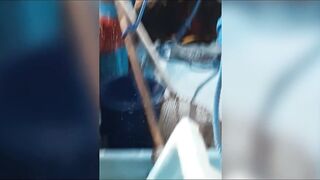 Семь тонн рыбы возвращают в море: Хиккадува Шри-Ланка и спасённый улов рыбаков