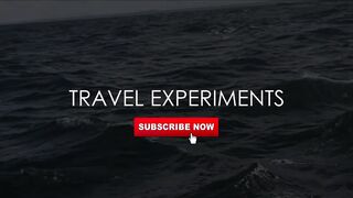 Семь тонн рыбы возвращают в море: Хиккадува Шри-Ланка и спасённый улов рыбаков