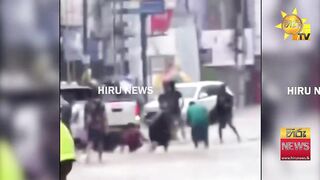 Стихия стихла рыбалка на шоссе жители выходят ловить рыбу прямо с дороги