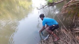 Ловля крупного rohu в реке Kirindi Oya традиционная рыбалка сетью на Шри-Ланке